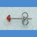 Swarovski earrings - medium NEWS